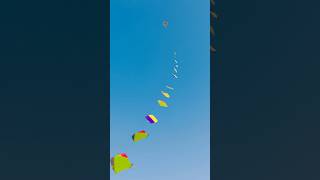 FLY 50 KITE AT ONCE 🤩 shorts pkcrazyexperiments [upl. by Gardol]