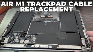 MacBook Air M1 A2337 Trackpad and Keyboard Not Working  Quick Fix and Cable Replacement [upl. by Timus]