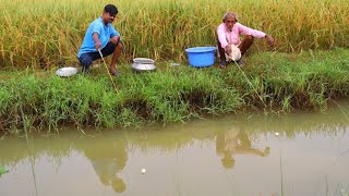 Fishing Video  If you know the technique you can catch fish in different method  Fish trap [upl. by Ettennyl]