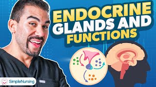 Endocrine Glands amp Functions  Parathyroidism Nursing  Made Easy NCLEX [upl. by Anrim627]