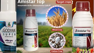 Amister Top fungicide  Godiwa Super fungicide  best fungicide for paddy  ধানের ঝলসা ও খোলা পচা । [upl. by Leanora]