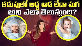 Pregnancy మగపిల్లాడా లేక ఆడపిల్లా అని తెలుసుకునే మార్గాలు  Gender prediction methods [upl. by Itsa]