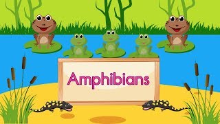 Amphibian Song [upl. by Marilin]