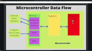 4 Data Flow in Microcontroller [upl. by Nosduh]