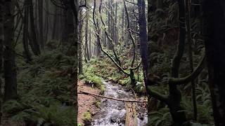 Add this State Park in Oregon to your bucket list🙏 oregonhike [upl. by Burroughs]