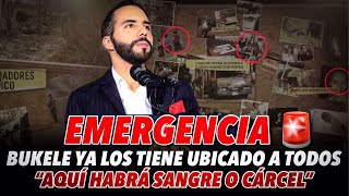 Emergencia🚨 Nayib Bukele ya los tiene ubicado a todos quotAquí habrá sangre a cárcelquot [upl. by Tiena]