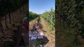 Tuscany mini vlog tuscany italy travel tuscanyitaly tuscan [upl. by Fabrianna]