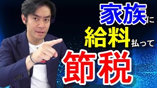 家族への給料を経費に落として節税出来るのか？【青色事業専従者給与・役員賞与・非常勤役員給与etc】 [upl. by Saretta]