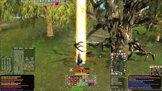 SOLO10 DAOC YWAIN  RR6 VALEWALKER SOLO 2014 [upl. by Azila]