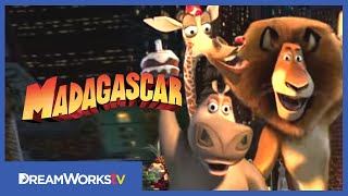 MADAGASCAR 3 FULL MOVIE ENGLISH EUROPES MOST WANTED VIDEOGAME Story Game Movies [upl. by Tully754]