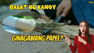 PAANO GUMAWA NG PAPEL NOONG UNANG PANAHON [upl. by Leanora]