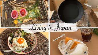 new cast iron frying pan explore new supermarket Gapao Rice mango sandwich [upl. by Nywnorb34]