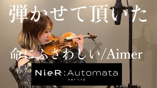 命にふさわしい  Aimer バイオリンで弾かせて頂いた。  TVアニメ『NieRAutomata Ver11a』より quotDeserving of Lifequot violin cover [upl. by Alrich619]