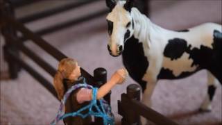 Its a Busy Morning at Silver Star Stables  Short Schleich Film [upl. by Aicitel]