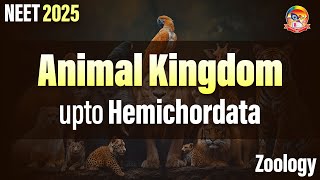 Animal Kingdom  upto Hemichordata  NEET Zoology  srichaitanyagosala [upl. by Oirad582]