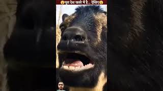 kisse ke sath kuch bhi ho shakta hai 😱😱 rjram amazingfacts disappearanceday viralvideo [upl. by Crompton]