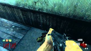 Black Ops 2  Tranzit Zombies  Teddy Bear Locations [upl. by Ilenna]