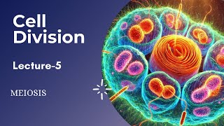 Cell division  Meiosis lecture5 [upl. by Ayanet507]