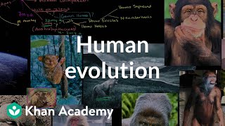 Human evolution overview  Life on earth and in the universe  Cosmology amp Astronomy  Khan Academy [upl. by Mientao]