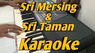 Sri Mersing amp Sri Taman KARAOKE Melayu 2 Dimensi Saipul Amri [upl. by Kaliski]