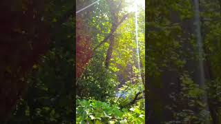 Explore Cromford and Matlock Bath Beautiful Walks Condensed into 1 Minute EnglishCountryside [upl. by Acirretahs]