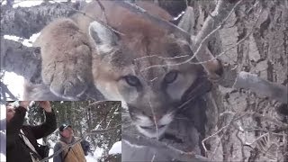 Chasing Mountain Lions in Sanpete County [upl. by Trautman]