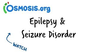 Epilepsy amp Seizure Disorder  Clinical Presentation [upl. by Haeli]