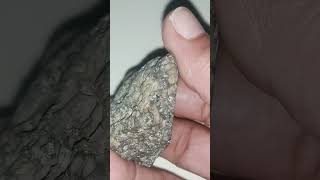 meteorite suspected please subscribe like comment and share thanks 🙏🙏🙏🙏 [upl. by Einahpts895]