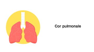 Lungenherz Cor pulmonale  Erkrankungen der Atemwege [upl. by Forbes]