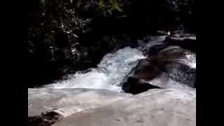 Whaleback Falls in Pisgah Forest Brevard NC [upl. by Ainesy]