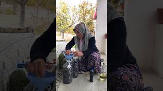 Tamda zeytin kurma zamanı✅ yemektarifleri bahçe pratiktarifler youtube zeytin🍃🤗 [upl. by Ainedrag]