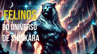 OS FELINOS DO UNIVERSO DE SHINKARA  Revelando SEUS Segredos [upl. by Wendy411]