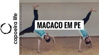 How to MACACO EM PE  Florieo Tutorial Series  Capoeira Life Show [upl. by Tegdig]