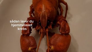 sådan laver du hjemmelavet signalkrebs 🦞🦞🦞🦞🦞🦞 [upl. by Holleran]