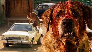 SO MUCH ANXIETY Cujo 1983 FIRST TIME WATCHING REACTION 40th Anniversary  Stephen King Horror [upl. by Nede]