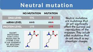 MUTATION  Sir Marlons Students Edition [upl. by Juliane]