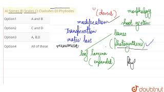 Leaf modifications found in xerophytes are A Spines B Scales C Cladodes D Phyllodes  CLASS [upl. by Sewoll628]