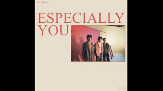 Wallows – Especially You Official Lyric Video [upl. by Bigelow746]