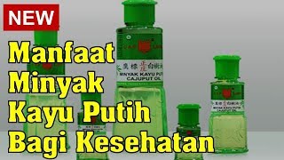 Manfaat Minyak Kayu Putih bagi Kesehatan [upl. by Bocyaj137]