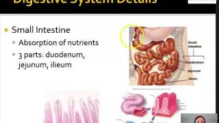 Organ Systetm Details HYBRID [upl. by Aicirtal]