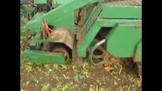 Beet Harvesting 20111 [upl. by Macomber]