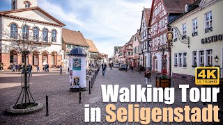 Walking tour in Seligenstadt [upl. by Ylim]