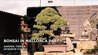 Bonsai in Mallorca II part one [upl. by Earle683]