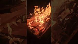 Plywood in the fire [upl. by Yehudit]