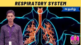 Basics of Respiratory System in Tamil [upl. by Alyacim]