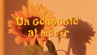 Tardes Grises  Un consuelo al morir Letra [upl. by Adrea]