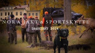 Drevjakt i oktober 2024 [upl. by Lanny]