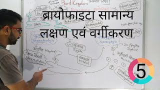 common features and classification of bryophyta ब्रायोफाइटा पादपों के सामान्य लक्षण एवं वर्गीकरण [upl. by Yenahc]