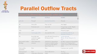 Parallel Outflow Tracts [upl. by Lyndell720]