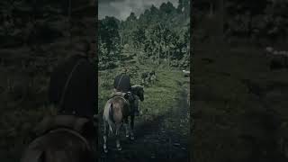 Pinkerton Checkpoint Surprise  rdr2 shorts [upl. by Arenat]